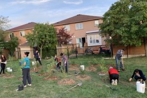 Urban Tree Planting Urban Tree Planting